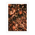 Plakat bez ramy 21x30 - Jesienny Splot: Pomarańczowe Liście - liście, pomarańczowe suche liście