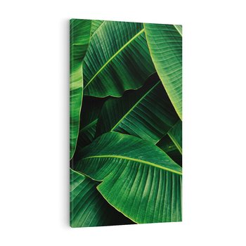 Obraz na płótnie 80x120 - Zaklęta roślinna ekspresja - liście bananowca, gęsto ułożone