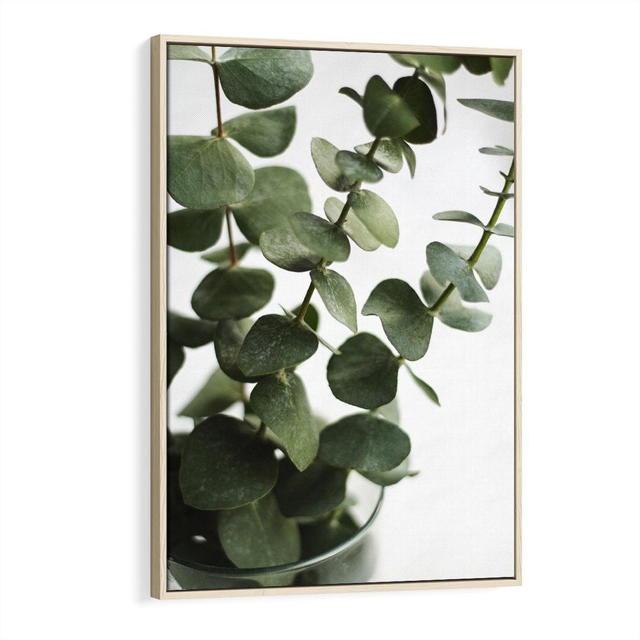 Obraz w ramie 80x120 - Zielone eukaliptusy - eukaliptus, liście - rama drewno