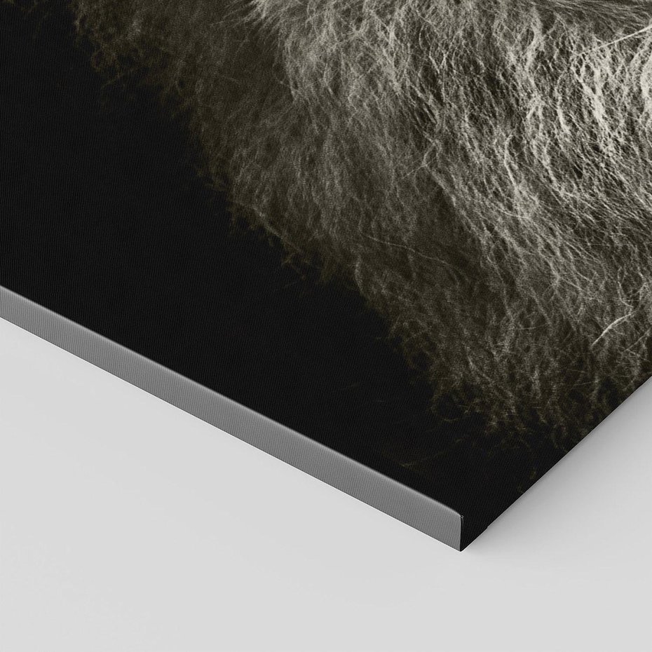 Obraz na płótnie 100x50 - Moc lewego spojrzenia - lew, czarno