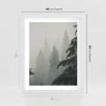 Plakat w ramie 40x50 - Mglista przemiana lasu - las, mgła - rama biała