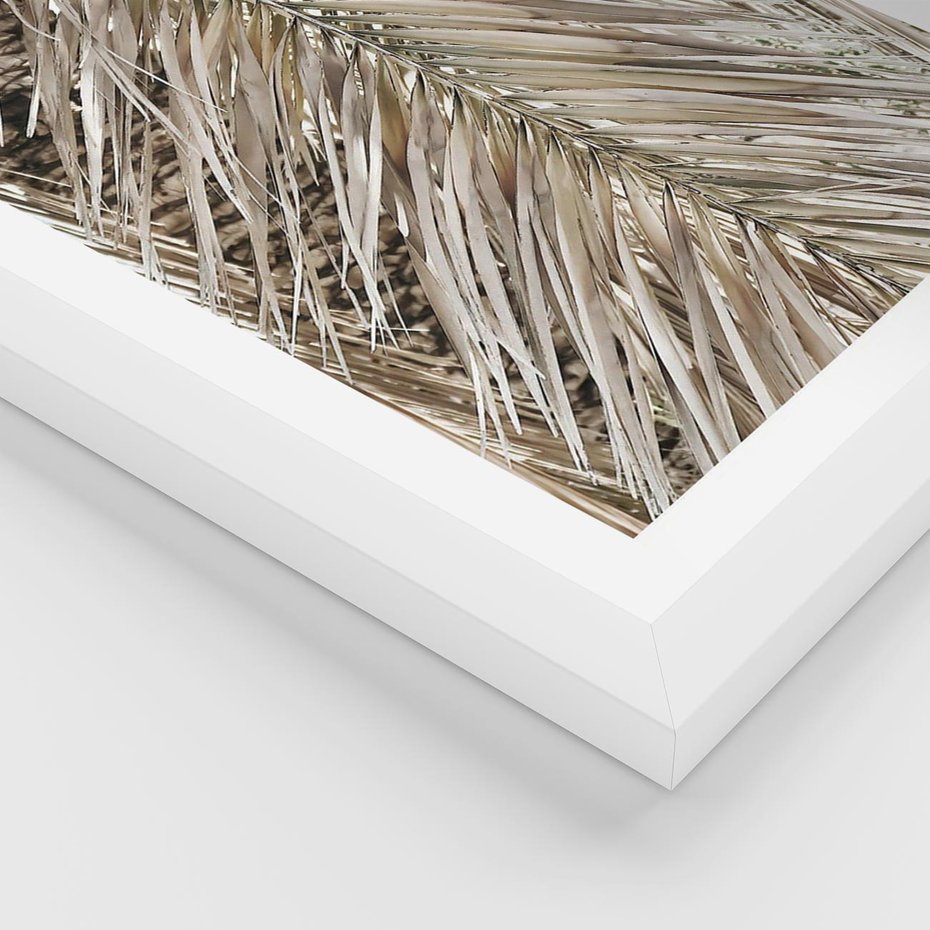 Plakat w ramie 40x50 - Boho Urok Palmy: Zbliżenie Natury - sucha palma, zbliżenie - rama biała