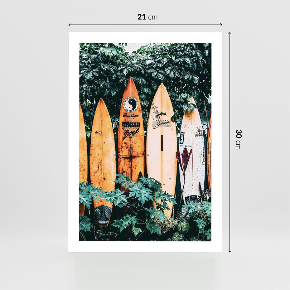 Plakat bez ramy 21x30 - Surfowanie w Harmonii z Naturą - deski surfingowe, oparte o rośliny