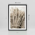 Plakat w ramie 50x70 - Letni Plon - zboże, kłosy zboża - rama czarna