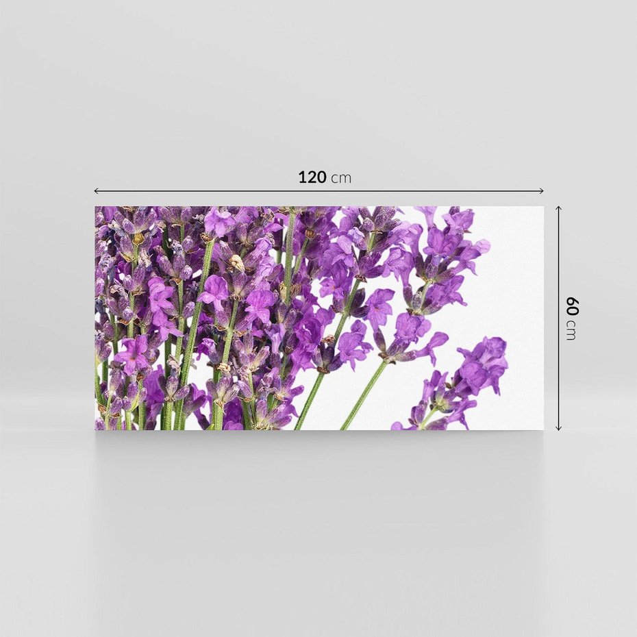 Obraz na płótnie 120x60 - Pola lawendy w pełnym rozkwicie - lawenda, kwiaty