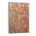 Obraz w ramie 50x70 - Mistrzowskie suche trawy - suche, trawy - rama drewno