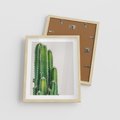 Plakat w ramie 40x50 - Minimalistyczne Kaktusy na Białym Tle - kaktusy, minimalistyczna fotografia - rama drewno