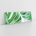 Obraz na płótnie 150x50 - Monstera - Liście Kwiaty - monstera, liście