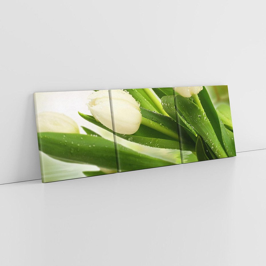 Obraz na płótnie 120x40 - Białe Piękno - białe, tulipany