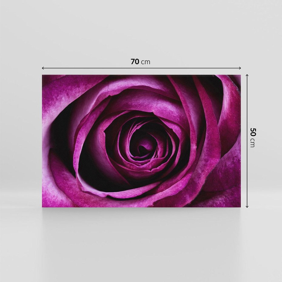 Obraz na płótnie 70x50 - piękno w delikatności - róża, kwiat