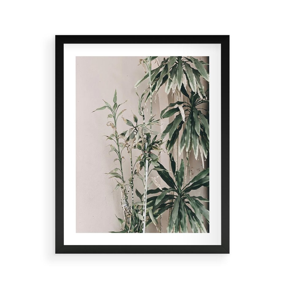 Plakat w ramie 40x50 - Egzotyczna Kompozycja - liście, rośliny tropikalne na tle ściany - rama czarna
