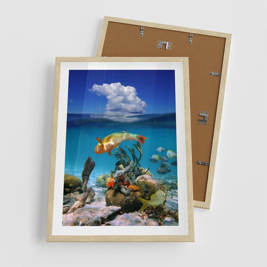 Plakat w ramie 50x70 - Podwodna rafa koralowa: kolorowy oceanowy świat - rafa, koralowa - rama drewno
