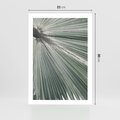 Plakat bez ramy 21x30 - Jasnozielony Świat - palma, liść
