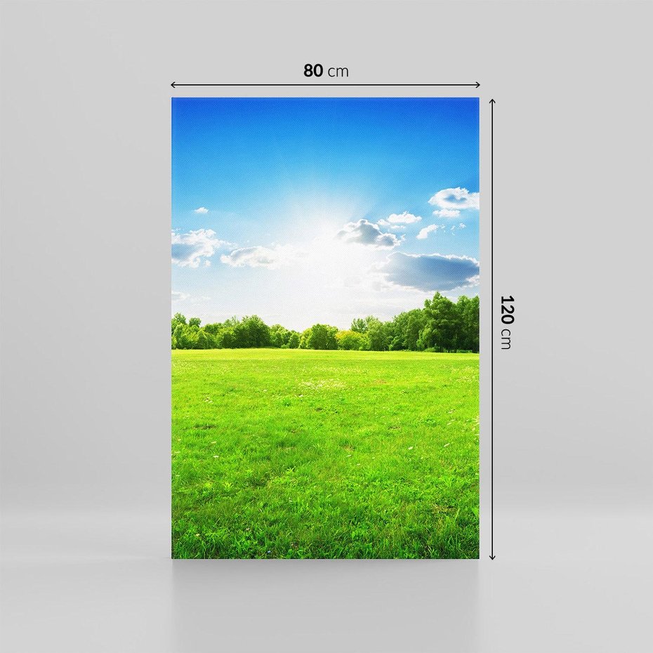 Obraz na płótnie 80x120 - Idylla na łące drzew - łąka, drzewa