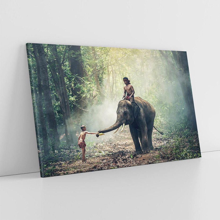 Obraz na płótnie 70x50 - Azja słońce wśród lasu - Azja, słoń