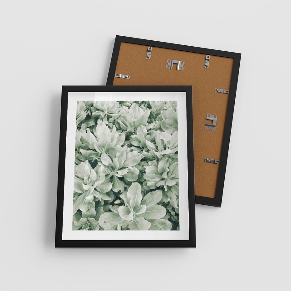 Plakat w ramie 40x50 - Liście w Jasnych Odcieniach Zielonego - liście, jasna zieleń fotografia - rama czarna