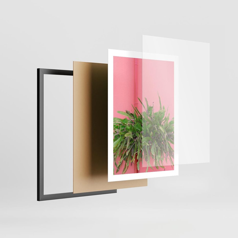Plakat w ramie 50x70 - Fotografia Rośliny z Różowym Tłem - fotografia, zielona roślina na tle różwj ściany - rama czarna