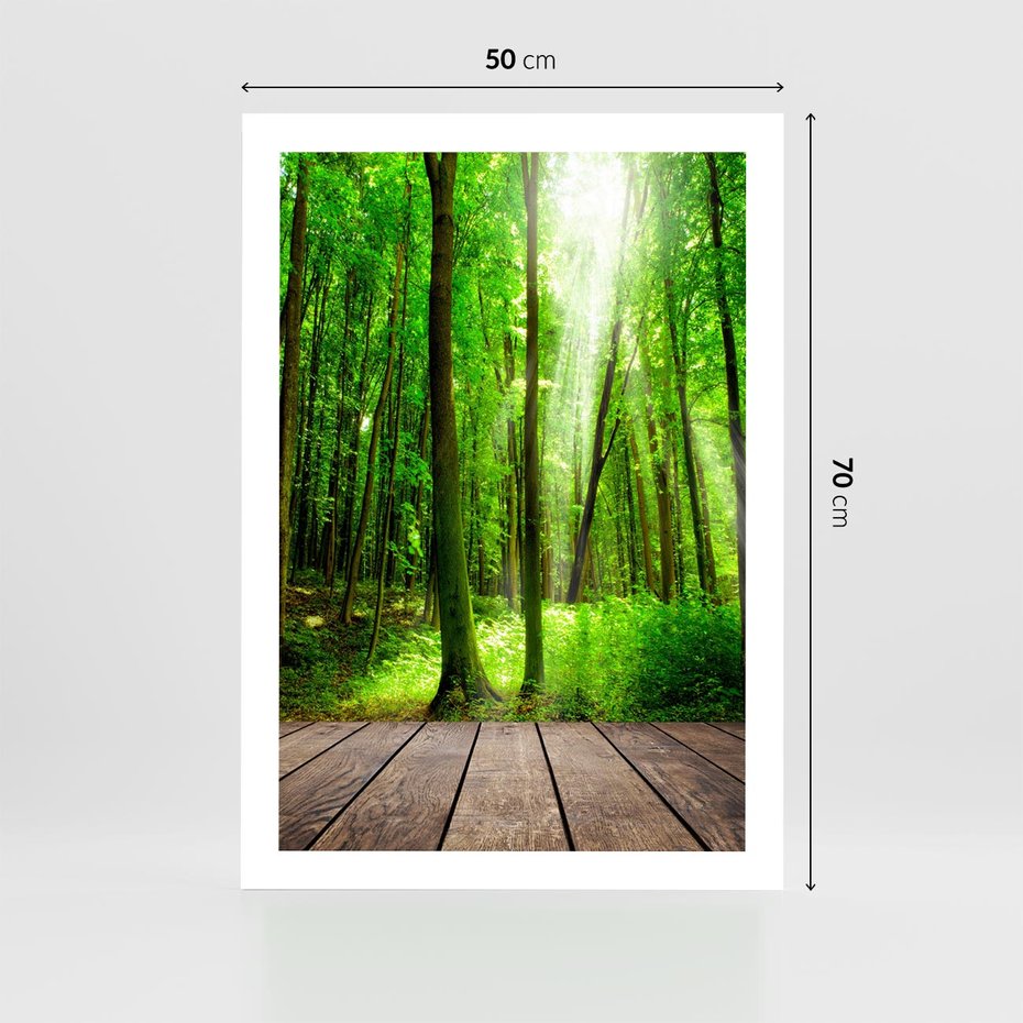 Plakat bez ramy 50x70 - Spacer po urokliwej dróżce w lesie - las, dróżka