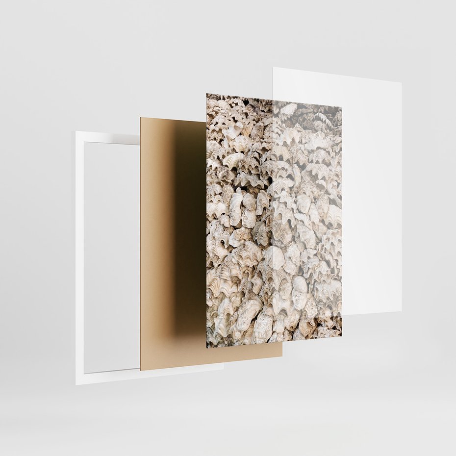 Zestaw obrazy w ramie 40x50 galeria - Plaża, boho, palmy, muszle, morze - rama biała