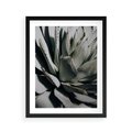 Plakat w ramie 40x50 - Sukulenty wśród kaktusów - sukulenty, kaktusy - rama czarna