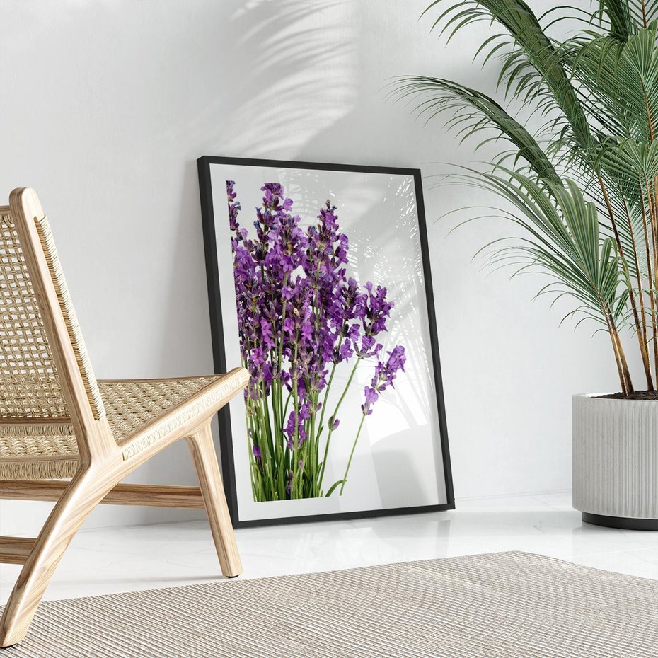 Plakat bez ramy 40x50 - Pola lawendy w pełnym rozkwicie - lawenda, kwiaty