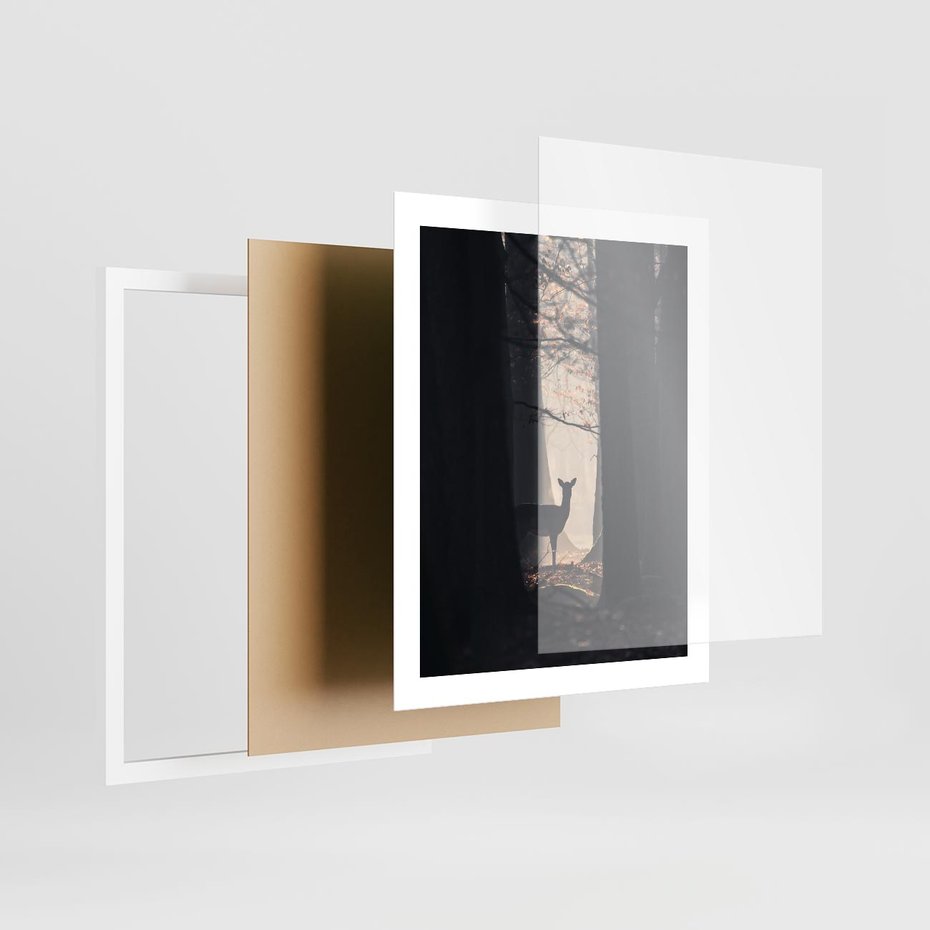 Plakat w ramie 40x50 - Sarnie Skoki - zdjęcie, klimatyczny las - rama biała