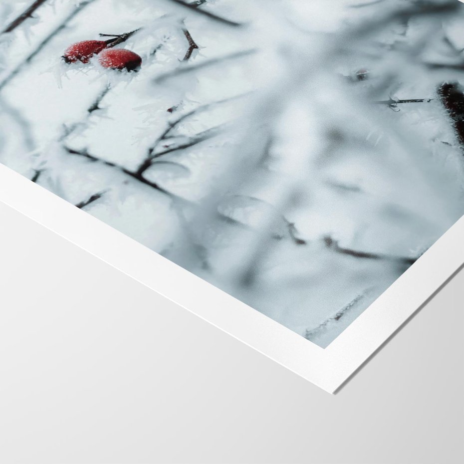 Plakat bez ramy 50x70 - Zima w Detalu: Gałęzie ze Szronem i Śniegiem - śnieg, zima