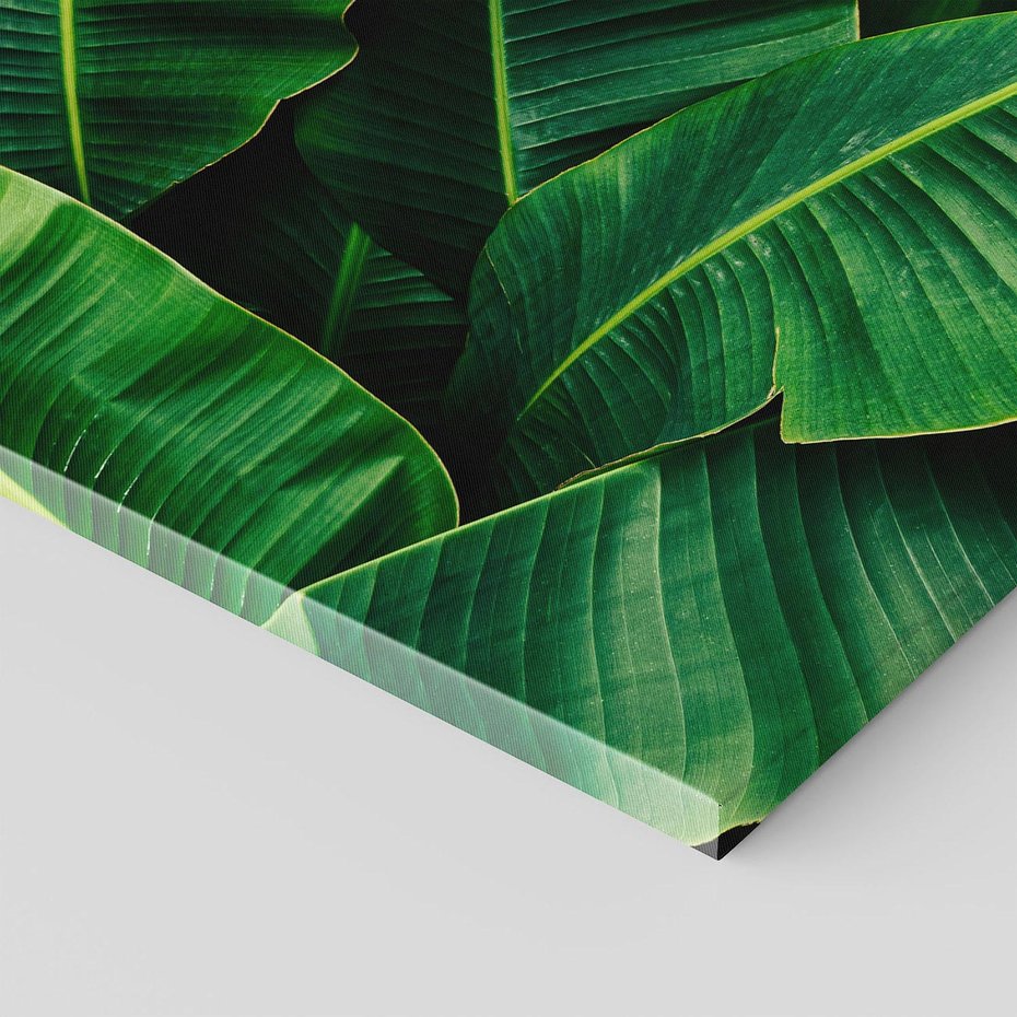 Obraz na płótnie 60x60 - Zaklęta roślinna ekspresja - liście bananowca, gęsto ułożone