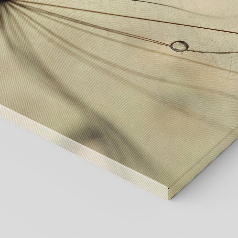 Obraz na płótnie 50x70 - Delikatność dmuchawców - dmuchawce, krople