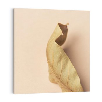 Obraz na płótnie 50x50 - Boho suszone liście - suszony, liść