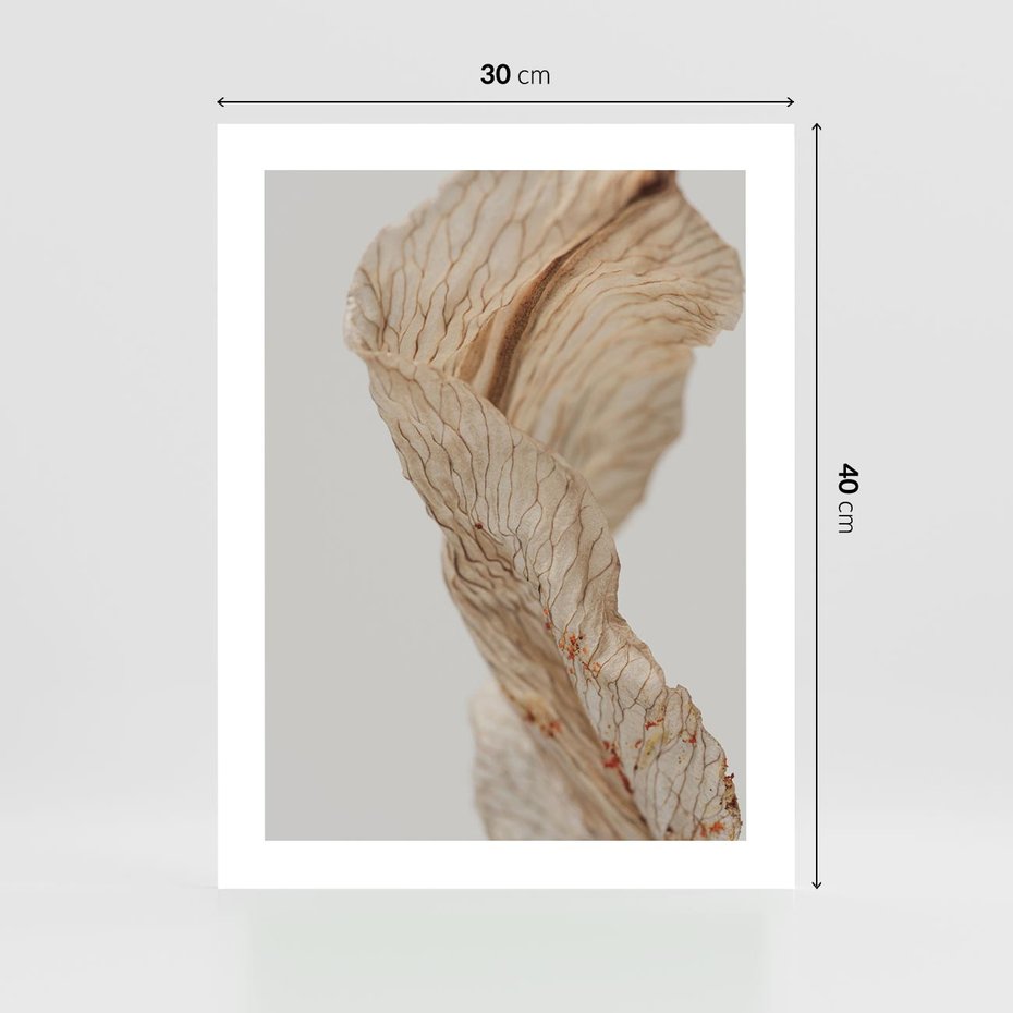 Plakat bez ramy 30x40 - Suszone piękno - susz, suche