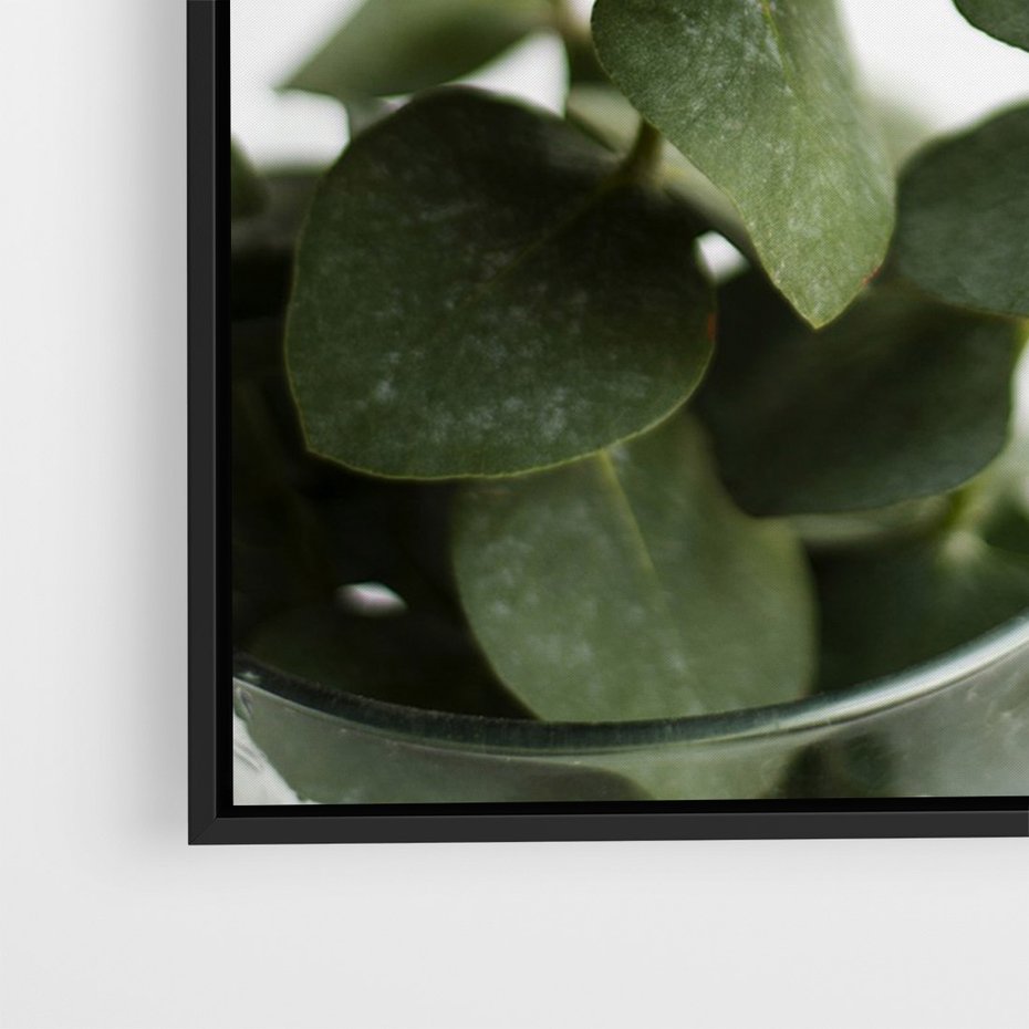 Obraz w ramie 70x100 - Zielone eukaliptusy - eukaliptus, liście - rama czarna