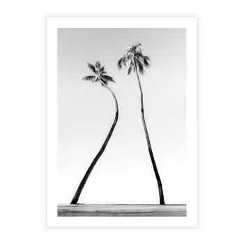 Plakat bez ramy 40x50 - Samotne Palmy - czarno biała fotografia, dwie samotne palmy