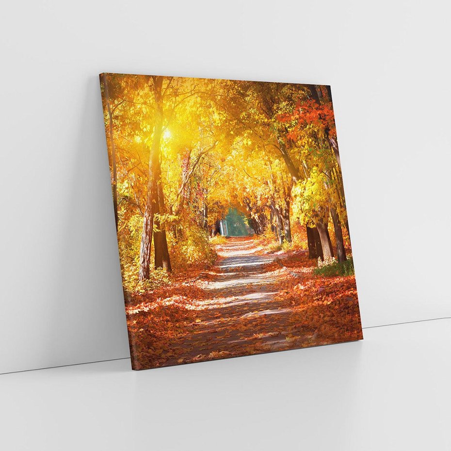 Obraz na płótnie 30x30 - Jesienna Droga: Przechadzka wśród Drzew - jesień, droga