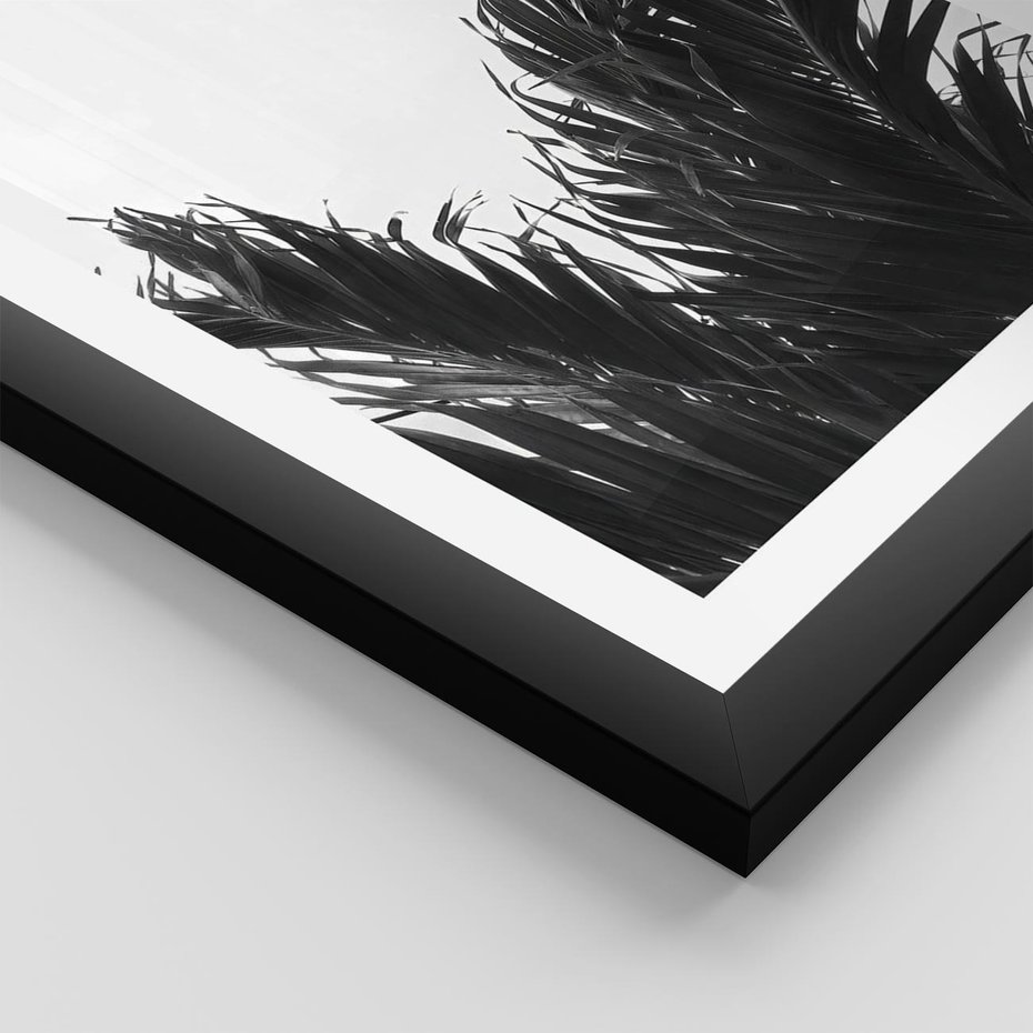 Plakat w ramie 40x50 - Tropikalna Uroda w Czerni i Bieli - fotografia czarno biała, liście palmy - rama czarna