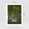 Plakat bez ramy 30x40 - Magiczny Las - drzewa, las