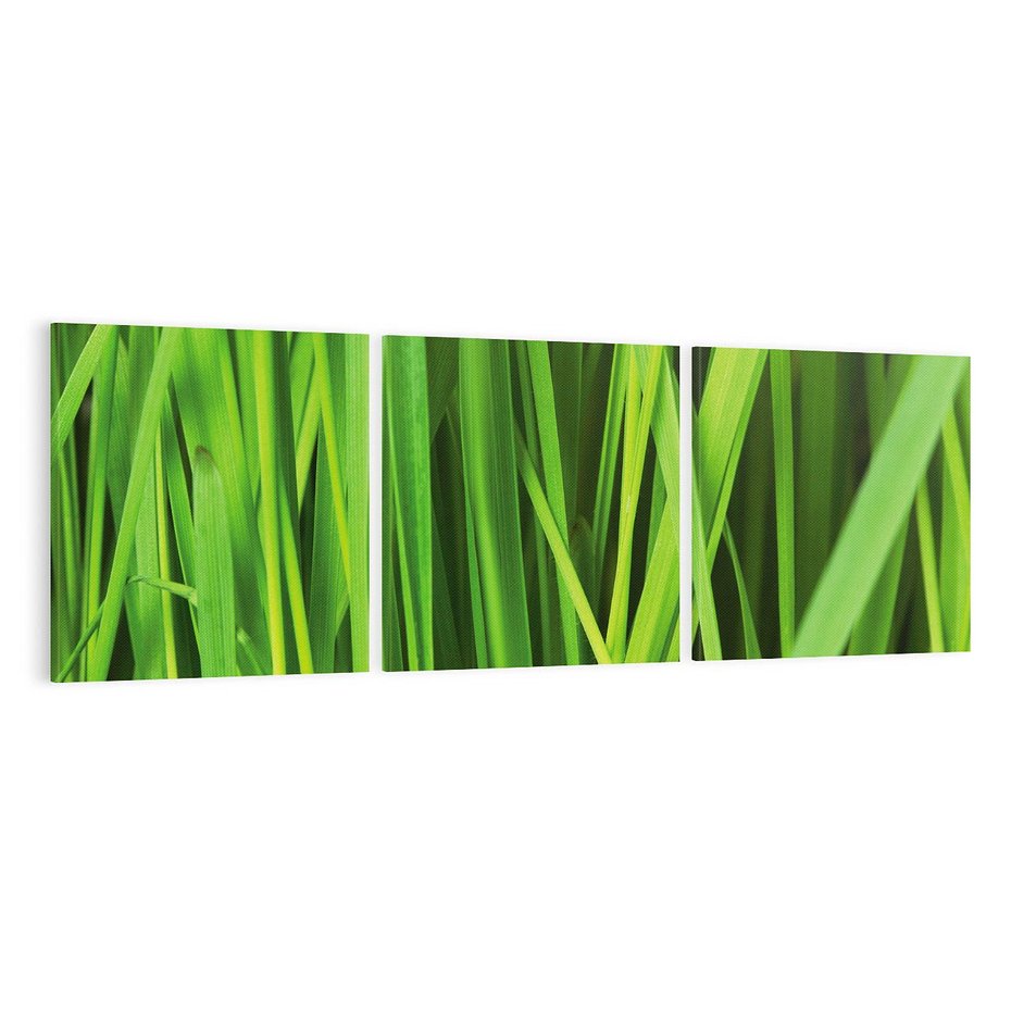 Obraz na płótnie 120x40 - Trawa w abstrakcji: natura przekształcona - trawa, abstrakcja