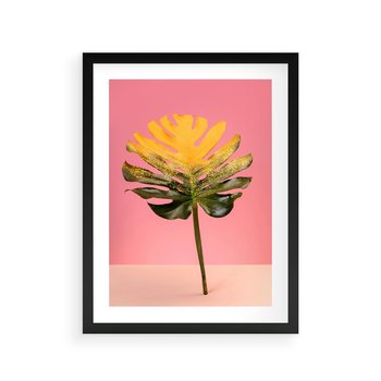 Plakat w ramie 50x70 - Majestatyczna monstera - monstera, liść - rama czarna