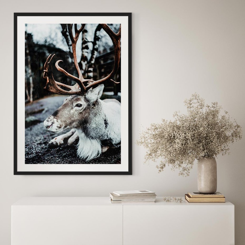 Plakat bez ramy 50x70 - W Zimowej Krainie - renifer, zima