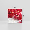 Obraz na płótnie 80x80 - Delikatność Kwiatowej Elegancji - orchidea, kwiat