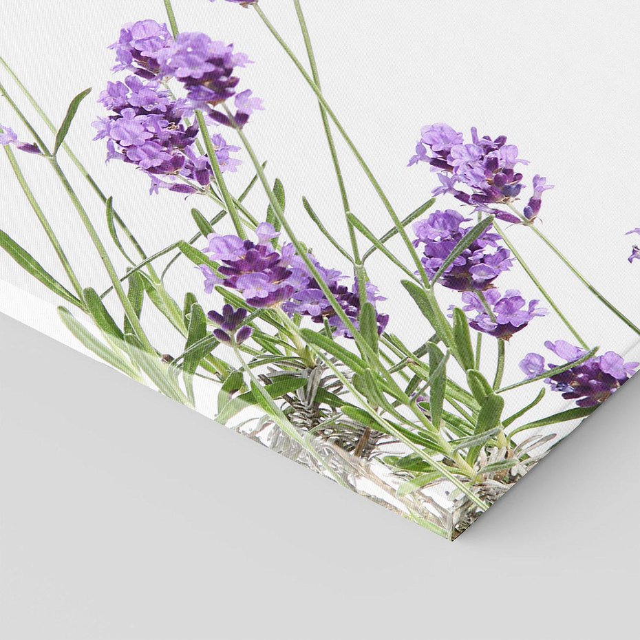 Obraz na płótnie 50x50 - Delikatny Urok - lawenda, kwiaty