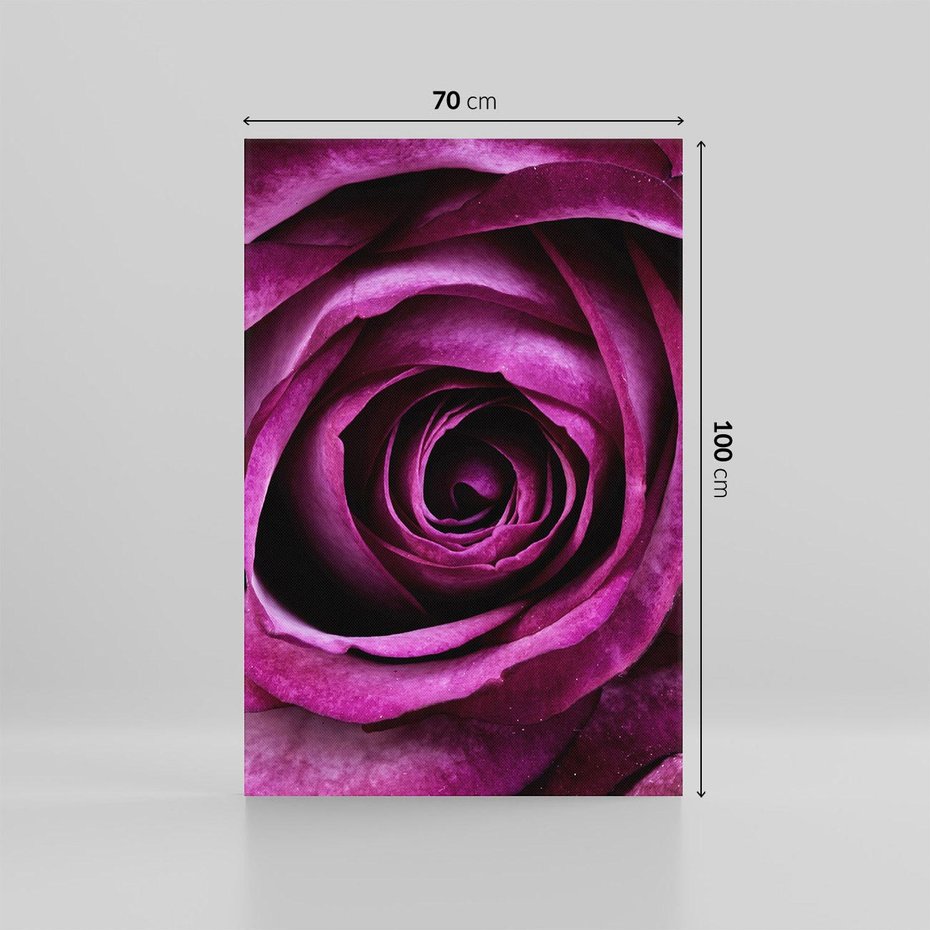 Obraz na płótnie 70x100 - piękno w delikatności - róża, kwiat