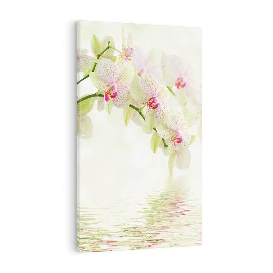 Obraz na płótnie 80x120 - Orchidea w Spa - orchidea, kwiaty