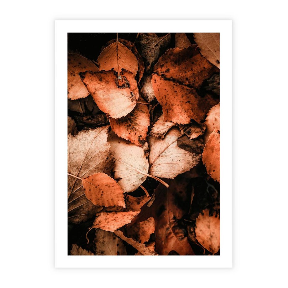 Plakat bez ramy 30x40 - Jesienna Paleta - liście, jesień