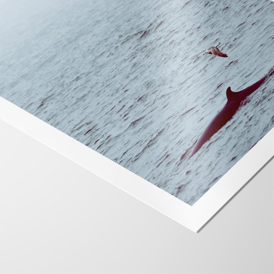 Plakat bez ramy 21x30 - Spotkanie z Orką - morze, ocean