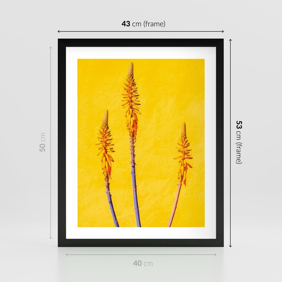 Plakat w ramie 40x50 - Radość Natury - kolor, kwiaty - rama czarna