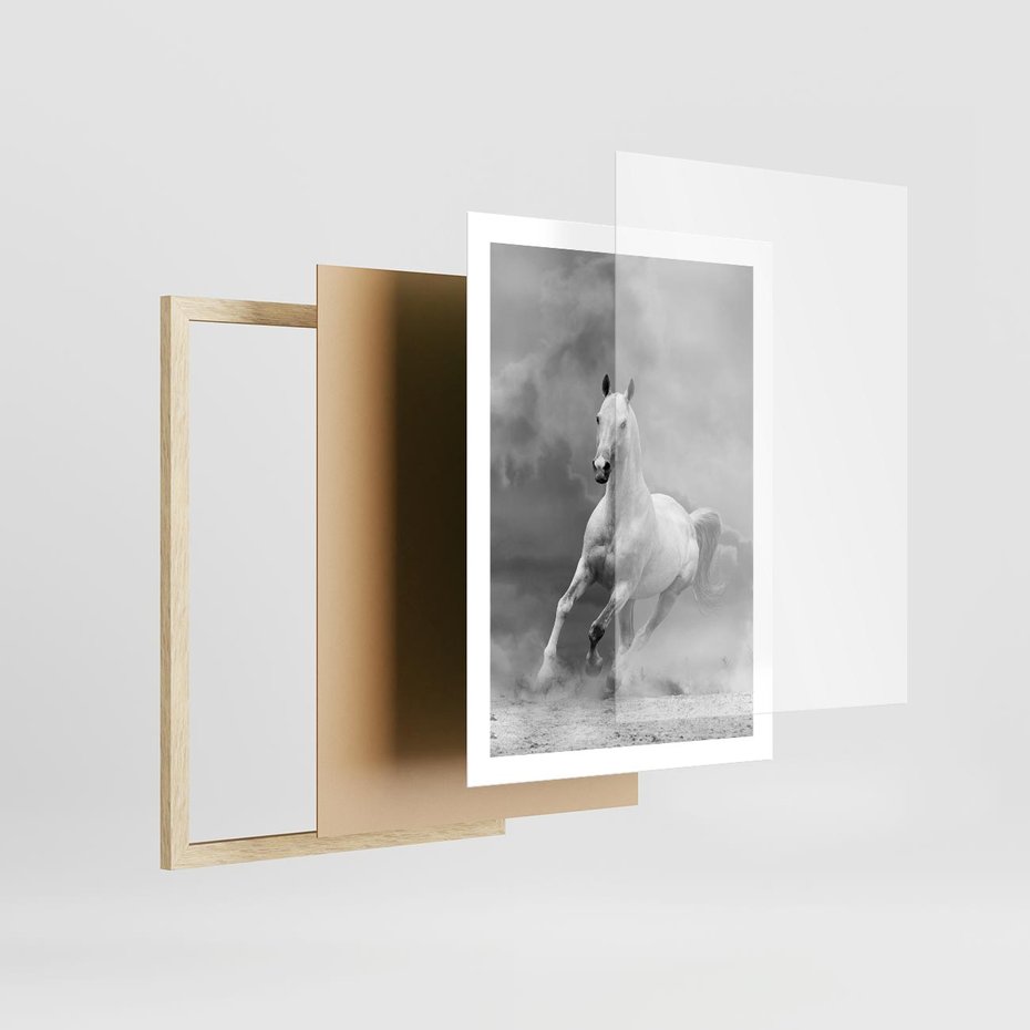 Plakat w ramie 50x70 - Elegancja w Czarno-Białym - koń, biało - rama drewno