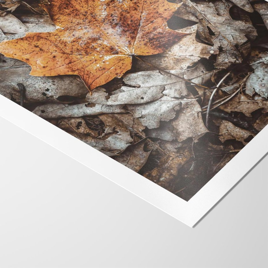 Plakat bez ramy 30x40 - Jesienne Czarowanie - suchy liść, żółty