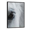 Obraz w ramie 70x100 - Oko Mocy - czarno białe zdjęcie, zbliżenie makro na oko konia - rama czarna