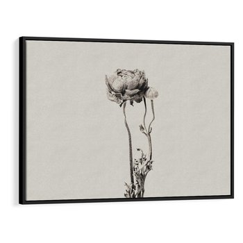 Obraz w ramie 100x70 - Cień Kwiatowej Delikatności - kwiat, cień - rama czarna